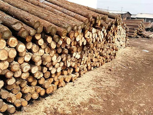 ^ľڈ@O(sh)Ӌеđ(yng)