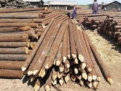 防汛木樁的快速部署與應(yīng)急響應(yīng)